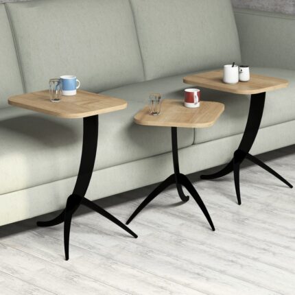 Variant Mobilya Variant Pion Metal Ayaklı 3 Lü Zigon Sehpa - Meşe - Görsel 3