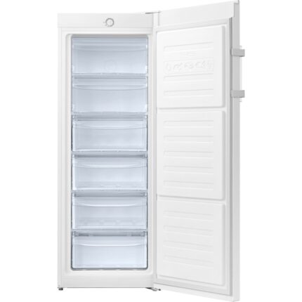 Samsung RZ20DG3001WWTR  160Lt Tek Kapılı Derin Dondurucu - Görsel 3
