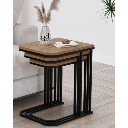 ED Efelez Design Lyon 3'lü C Zigon Sehpa Siyah Metal - Atlantik Çam Tabla - Görsel 2