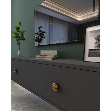 Ceneyra TDA1202A- Zuzu Duvara Montaj Tv Stand 120CM Antrasit - Görsel 3