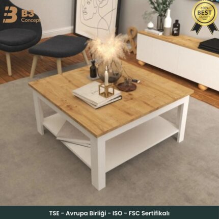 B3 Concept B3CONCEPT Nort Serisi Modern Dekoratif Raflı Kare Salon Orta Sehpa Safir Meşe Beyaz