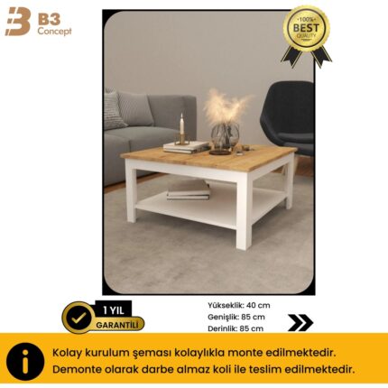 B3 Concept B3CONCEPT Nort Serisi Modern Dekoratif Raflı Kare Salon Orta Sehpa Safir Meşe Beyaz - Görsel 5