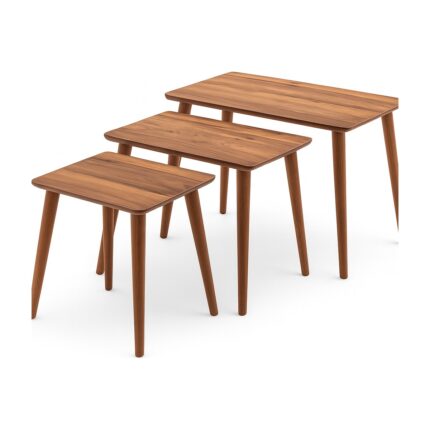Ayge Istanbul 3'lü Zigon Sehpa %100 Mdf Ahşap - Görsel 4