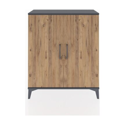 Dienni Arges Şifonyer Tek Raflı 2 Kapaklı 88X30X106 Antrasit-Çam