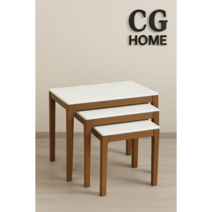 Cg Home Mono Zigon Sehpa Üçlü Lüx %100 Ağaç Lake Boyalı Sehpa - Görsel 2